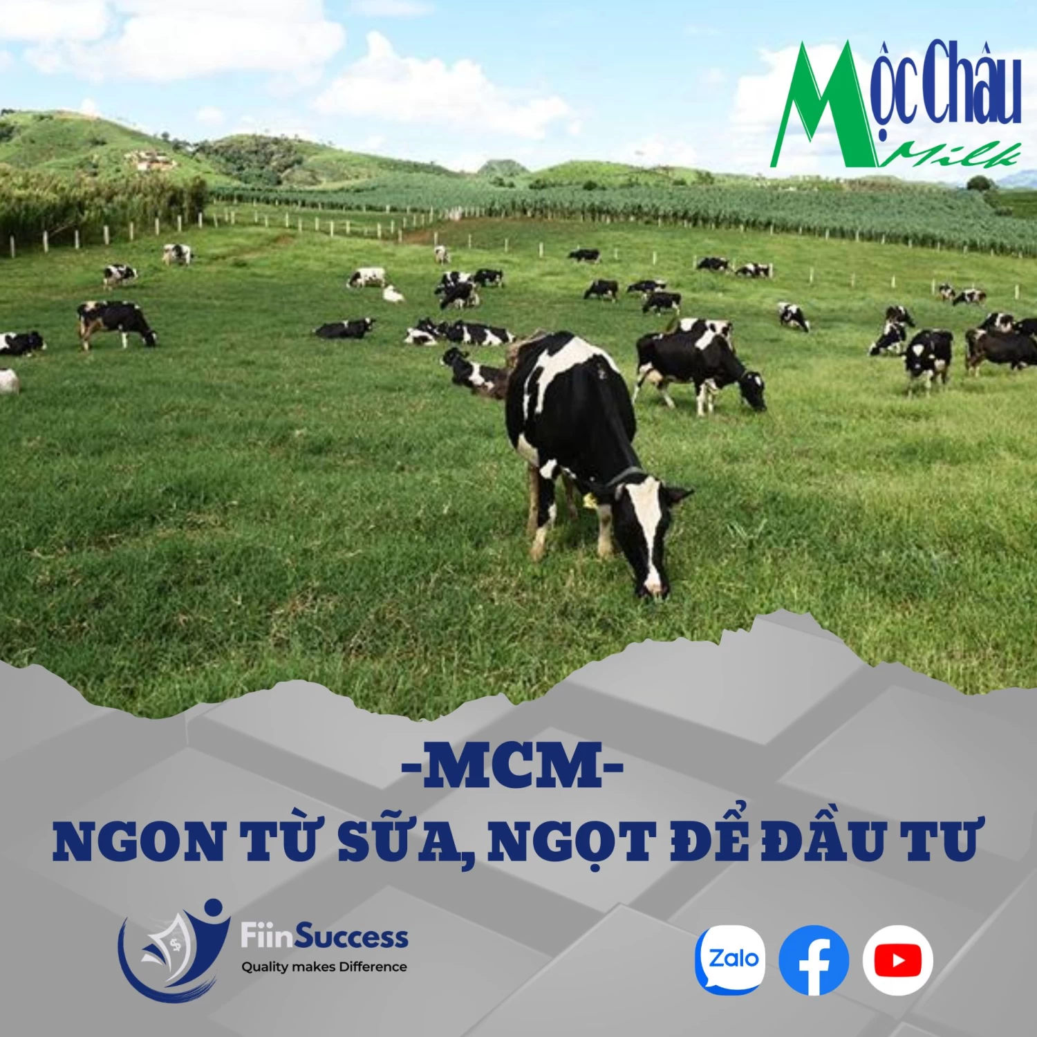 MCM – Không chỉ ngon từ sữa, mà rất ngọt để đầu tư MCM – Không chỉ ngon từ sữa, mà rất ngọt để đầu tư