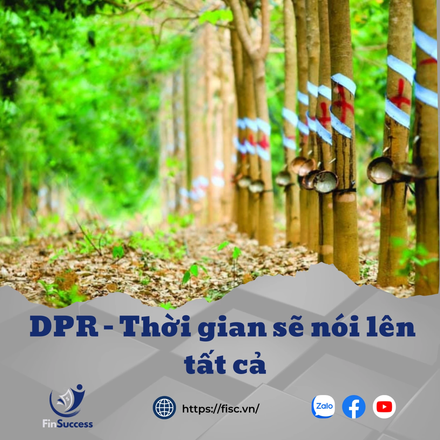 DPR - Thời gian sẽ nói lên tất cả DPR - Thời gian sẽ nói lên tất cả