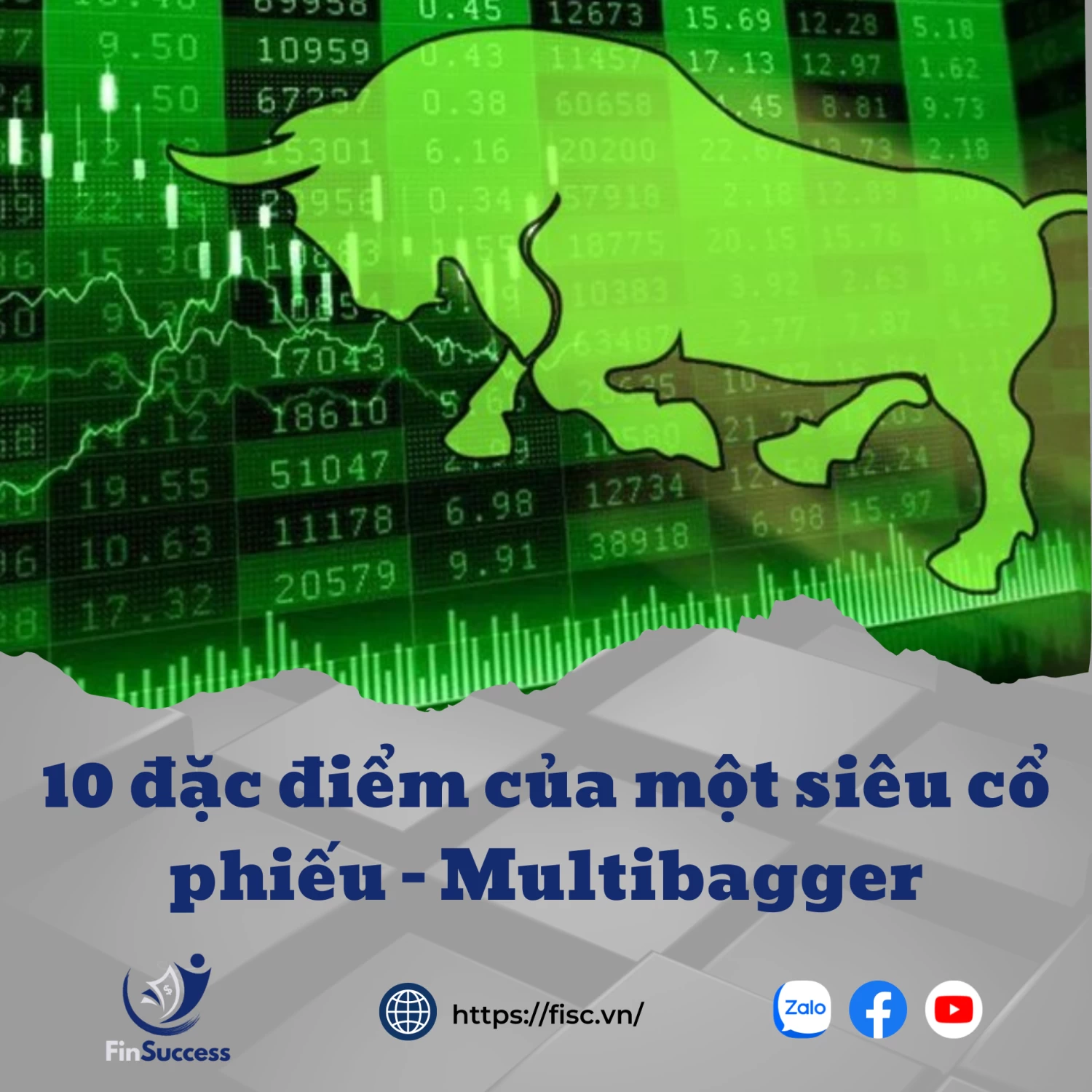 10 đặc điểm của một siêu cổ phiếu - Multibagger 10 đặc điểm của một siêu cổ phiếu - Multibagger