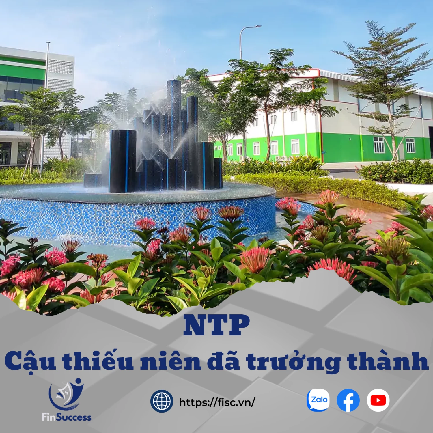 NTP - Cậu thiếu niên năm xưa nay đã trưởng thành NTP - Cậu thiếu niên năm xưa nay đã trưởng thành