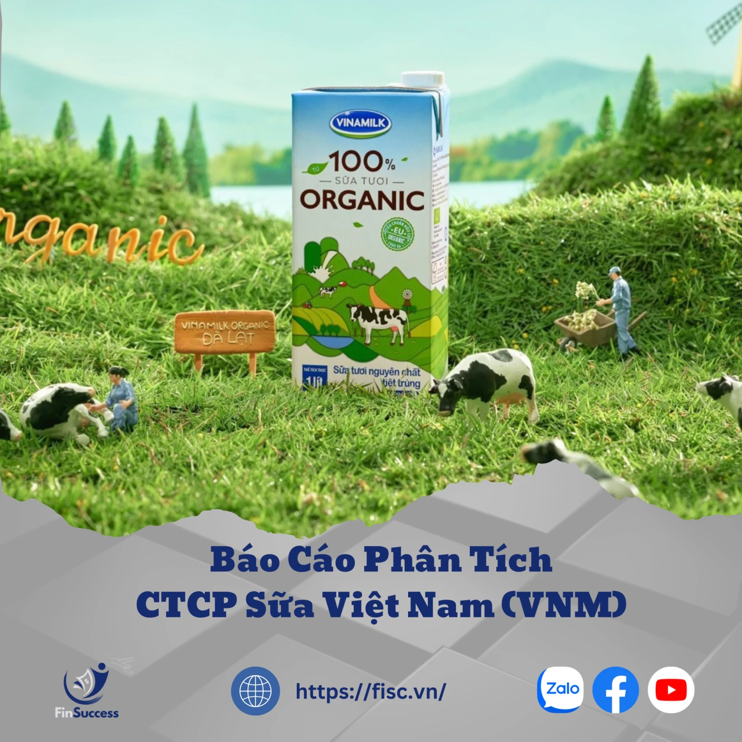 Điểm sáng từ biên lợi nhuận và thị phần mở rộng Điểm sáng từ biên lợi nhuận và thị phần mở rộng