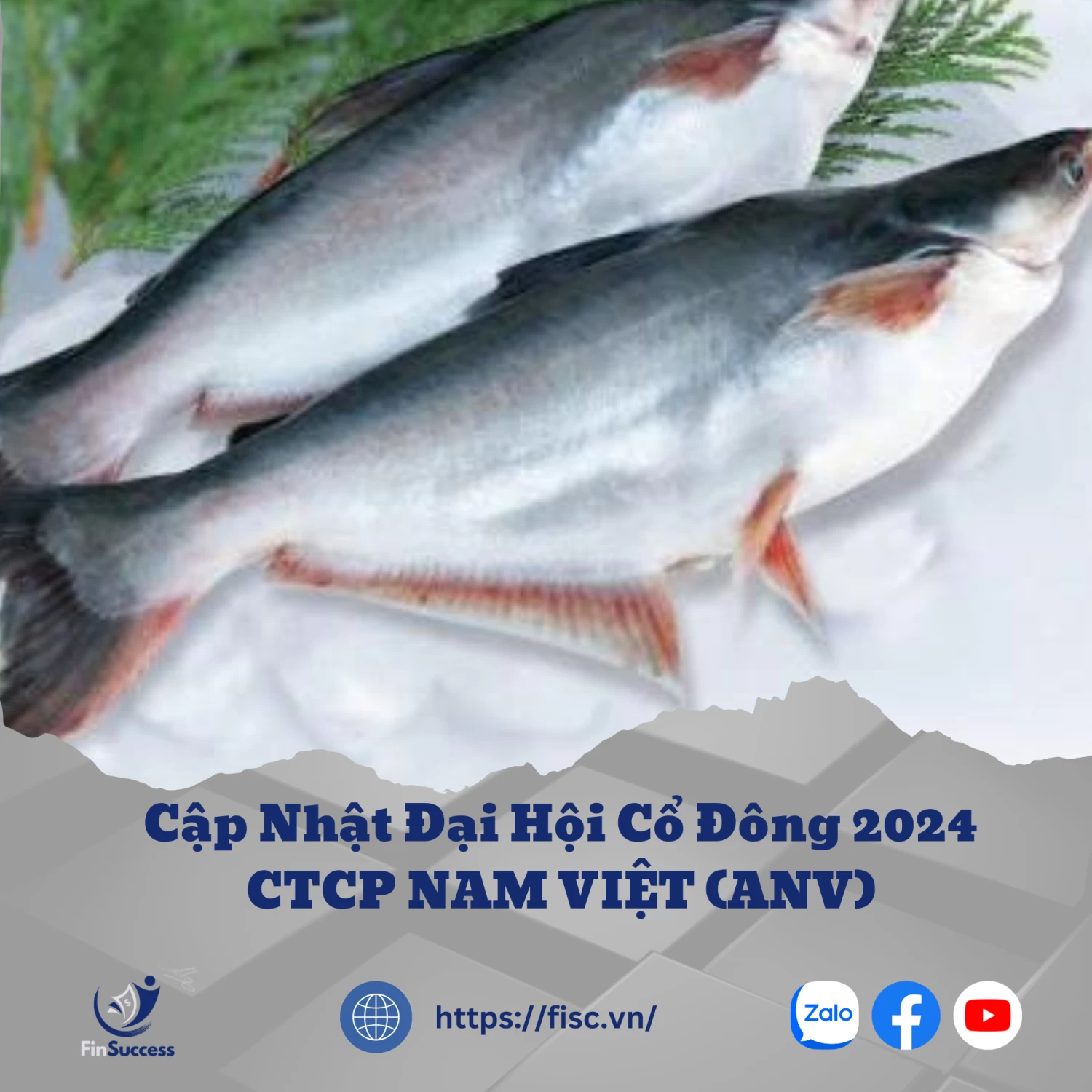 CẬP NHẬT ĐẠI HỘI CỔ ĐÔNG 2024-ANV CẬP NHẬT ĐẠI HỘI CỔ ĐÔNG 2024-ANV