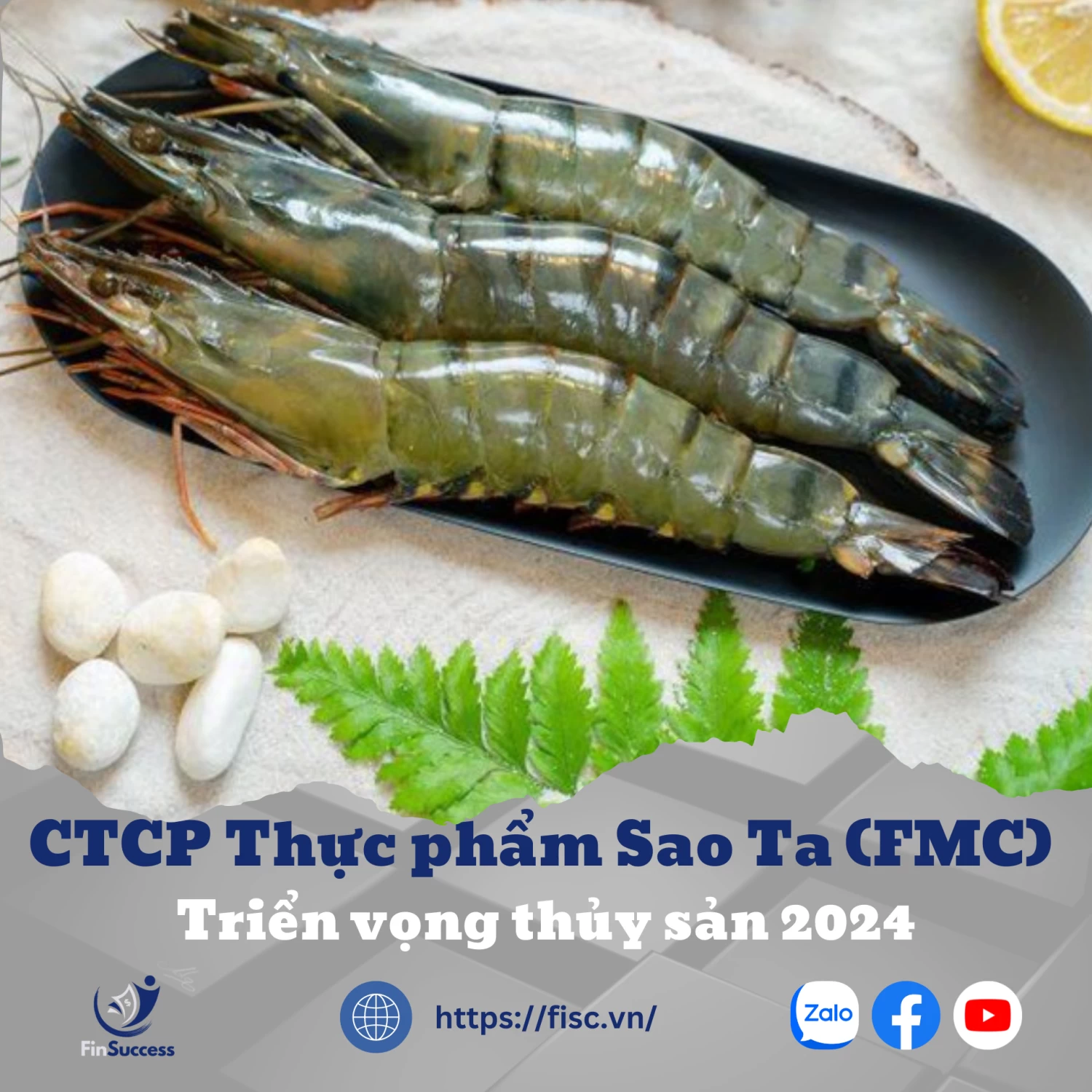 FMC (KHẢ QUAN, Giá mục tiêu: 55.500 Đồng): Cập nhật Ngành Thủy sản và KQKD nửa đầu năm 2024 của FMC FMC (KHẢ QUAN, Giá mục tiêu: 55.500 Đồng): Cập nhật Ngành Thủy sản và KQKD nửa đầu năm 2024 của FMC