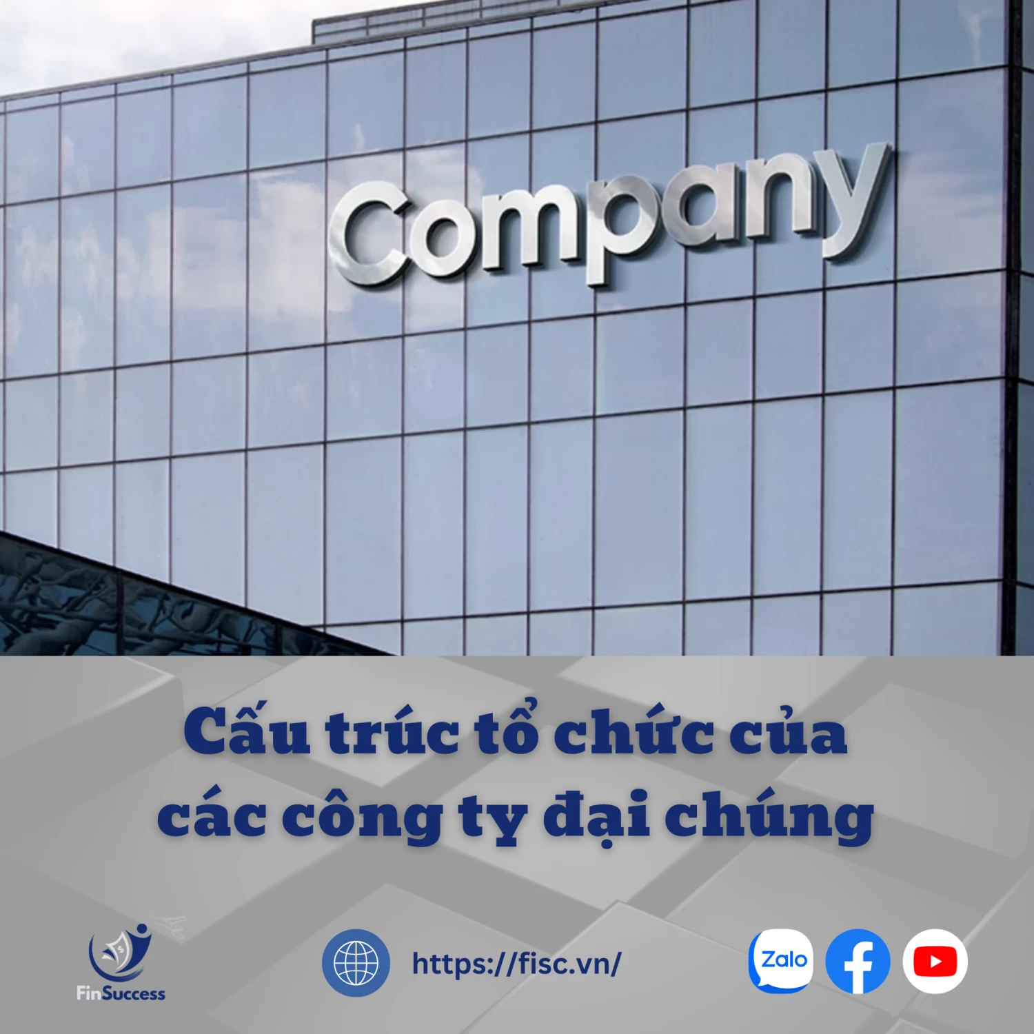 Cấu Trúc Tổ Chức Của Các Công Ty Đại Chúng Cấu Trúc Tổ Chức Của Các Công Ty Đại Chúng